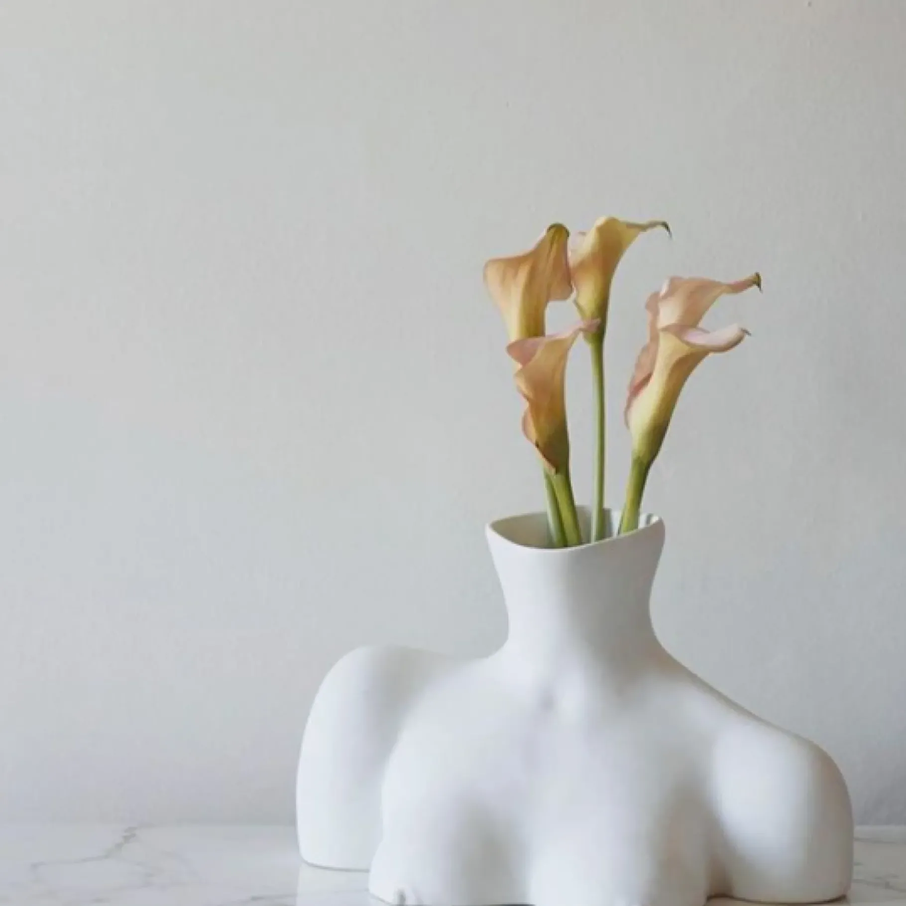 Maison<Anissa Kermiche Vase Breast Friend (Blanc Mat)